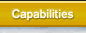 Capabilities